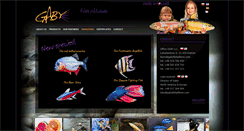Desktop Screenshot of gaby.com.pl